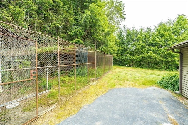 1170 E St, Ludlow, MA 01056 - view of green lawn