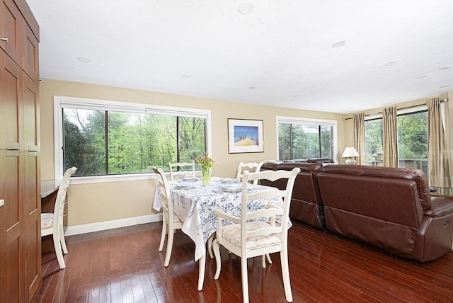 dining space with baseboards and dark wood-style floors