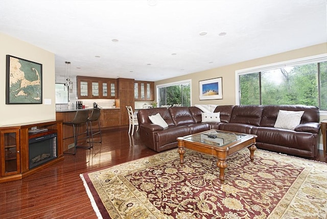 living area with healthy amount of natural light and dark wood-style flooring