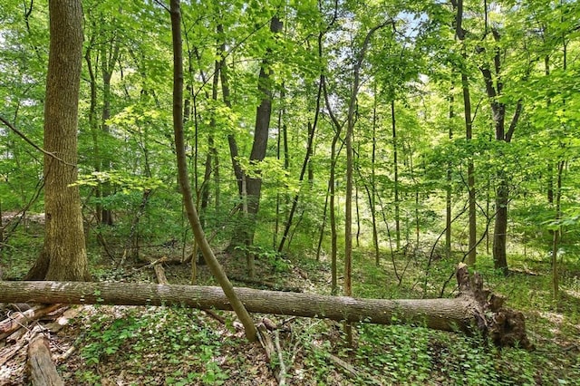 374 Wilbraham Rd, Lot A, Hampden, MA 01036