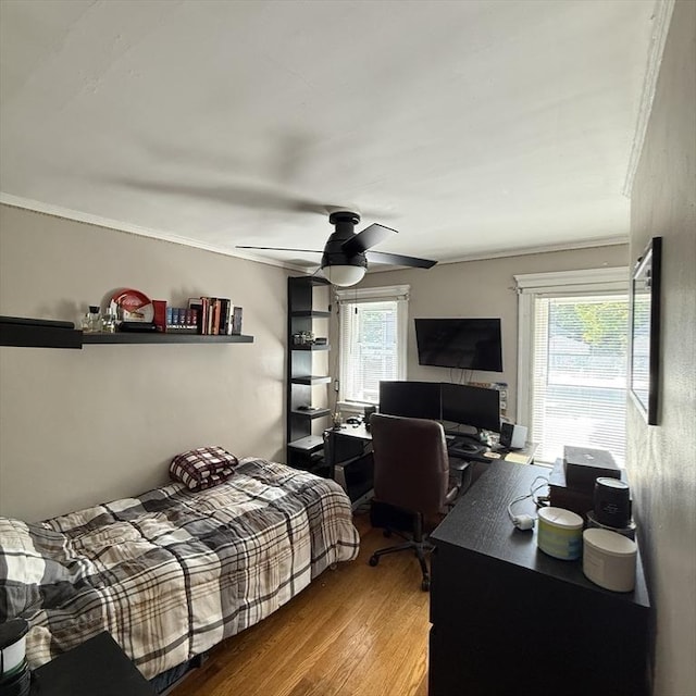 bedroom featuring wood finished floors, a desk, multiple windows, crown molding, and a ceiling fan