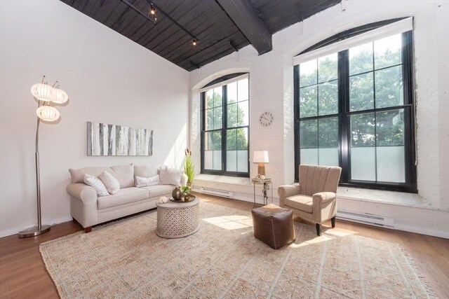 living room with baseboard heating, hardwood / wood-style flooring, beamed ceiling, and track lighting