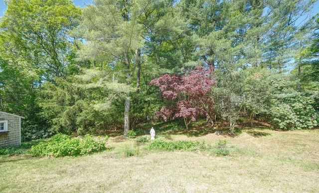 175 Knotty Pine Ln, Barnstable, MA 02632 - view of yard