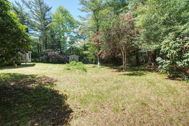 175 Knotty Pine Ln, Barnstable, MA 02632 - view of grassy yard