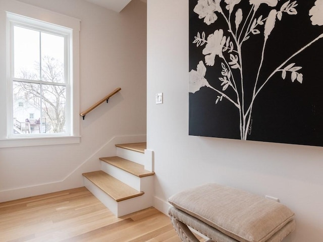 staircase with hardwood / wood-style flooring