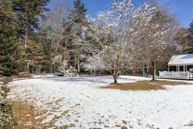 view of yard covered in snow