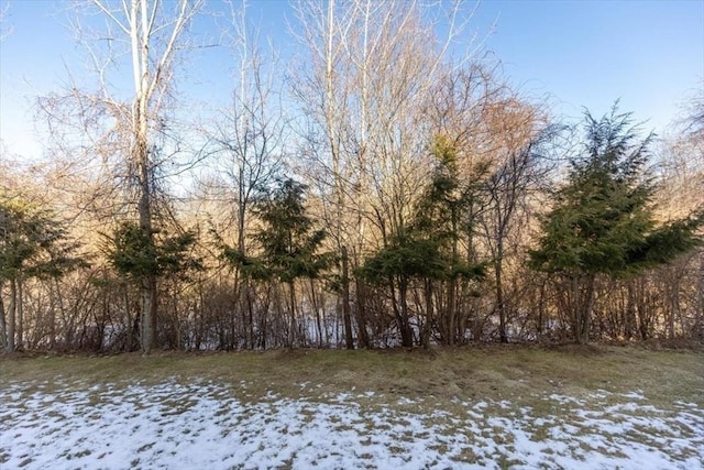 view of yard layered in snow