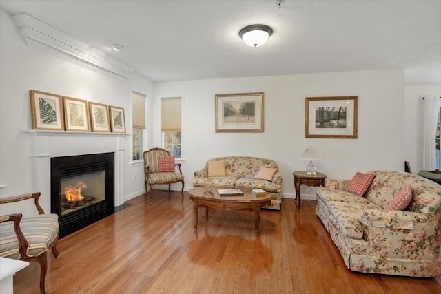 living room featuring light hardwood / wood-style flooring