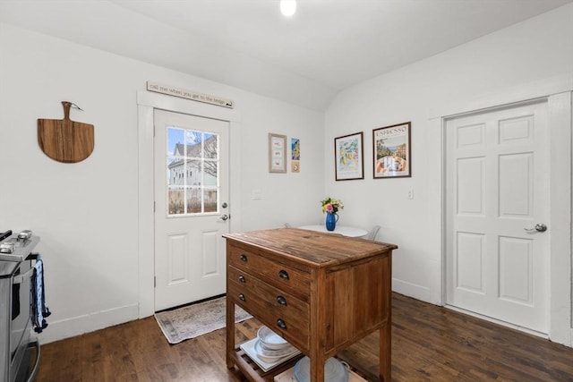 foyer entrance featuring dark wood-type flooring and lofted ceiling