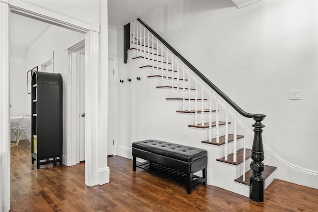 staircase with hardwood / wood-style flooring