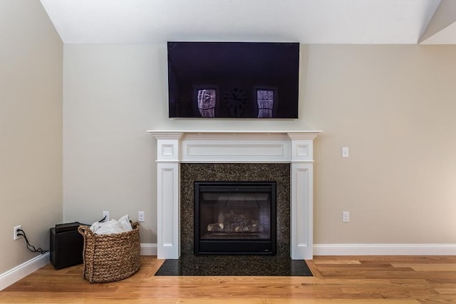 details with wood finished floors, a fireplace with flush hearth, and baseboards