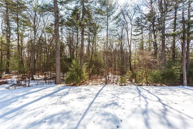 snowy yard with a view of trees