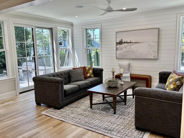 173 S St, Brookline, MA 02467 - living area featuring light wood-style flooring, ornamental molding, and a ceiling fan