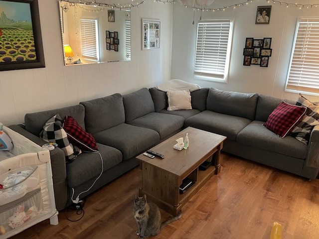 living room featuring wood-type flooring