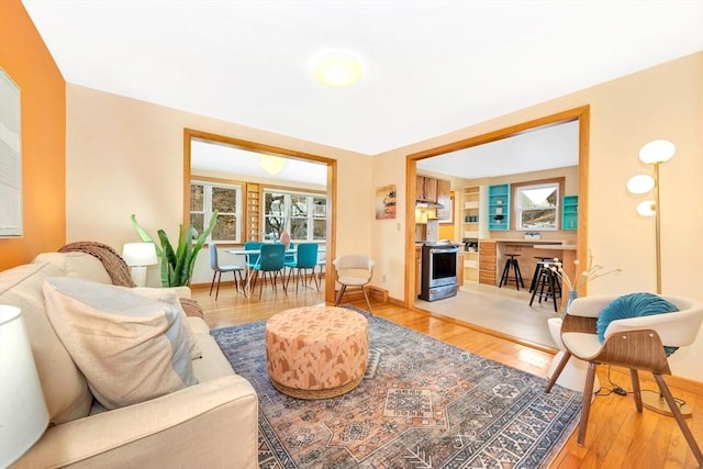 living room with wood-type flooring