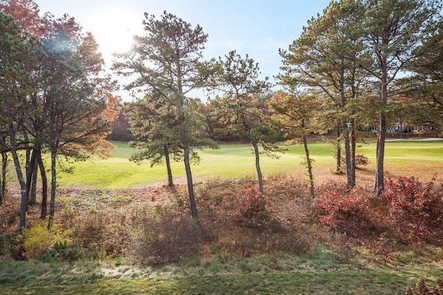 11 Dillingham Way Unit 11, Plymouth, MA 02360 - view of green lawn featuring view of golf course