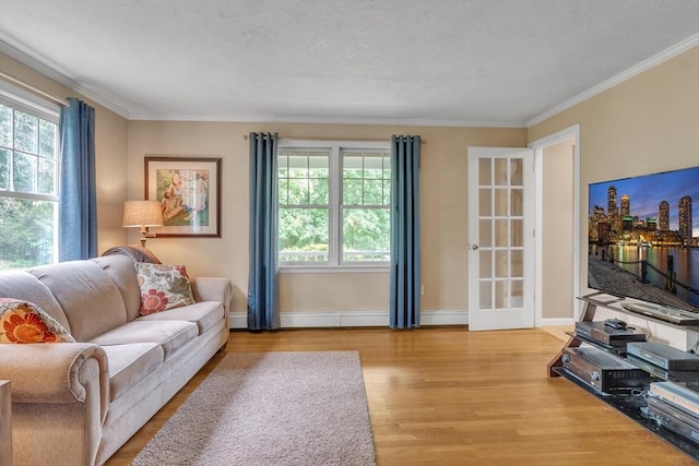 121 Merriam Rd, Grafton, MA 01519 - living area with wood finished floors, plenty of natural light, and crown molding
