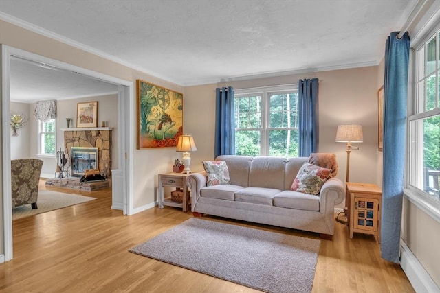 121 Merriam Rd, Grafton, MA 01519 - living room featuring plenty of natural light, wood finished floors, ornamental molding, and a stone fireplace