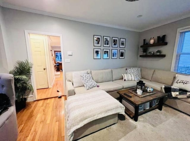 living room featuring light wood-type flooring and ornamental molding