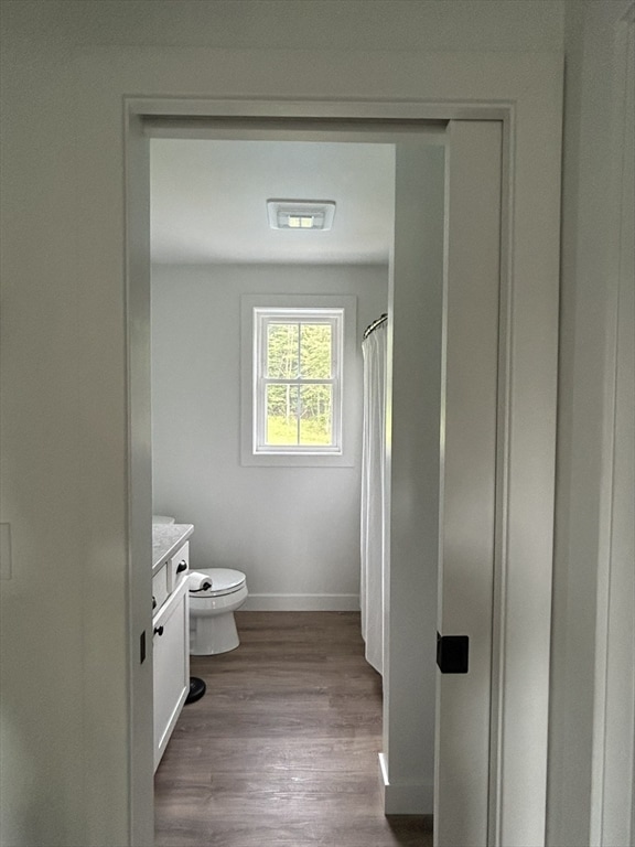 bathroom featuring a shower with shower curtain, wood-type flooring, vanity, and toilet