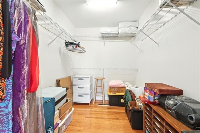 spacious closet with light wood-type flooring