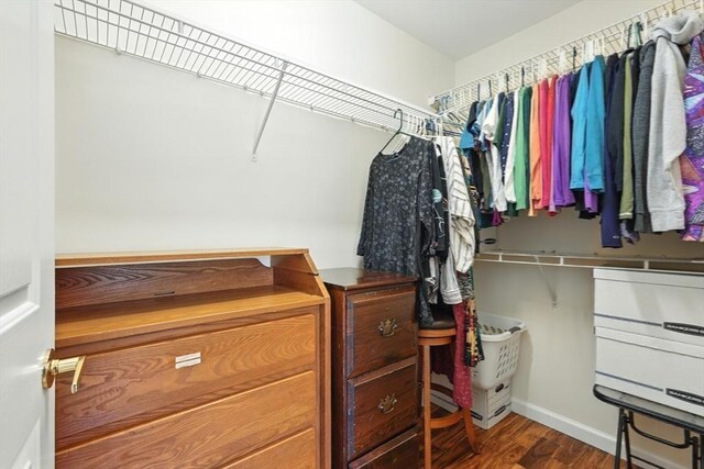 walk in closet featuring wood finished floors