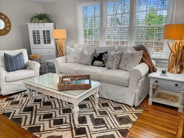 living area with wood finished floors