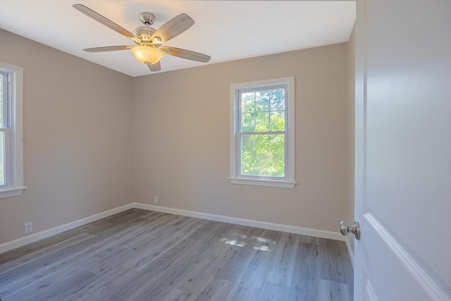 136 E St, South Hadley, MA 01075 - unfurnished room featuring light wood-type flooring and ceiling fan
