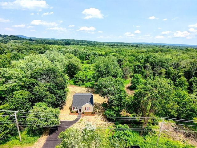 136 E St, South Hadley, MA 01075 - view from above of property featuring a heavily wooded area