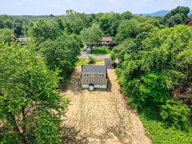 136 E St, South Hadley, MA 01075 - view from above of property with a forest
