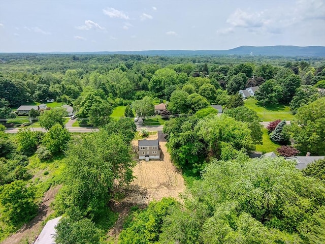 136 E St, South Hadley, MA 01075 - drone / aerial view of a heavily wooded area