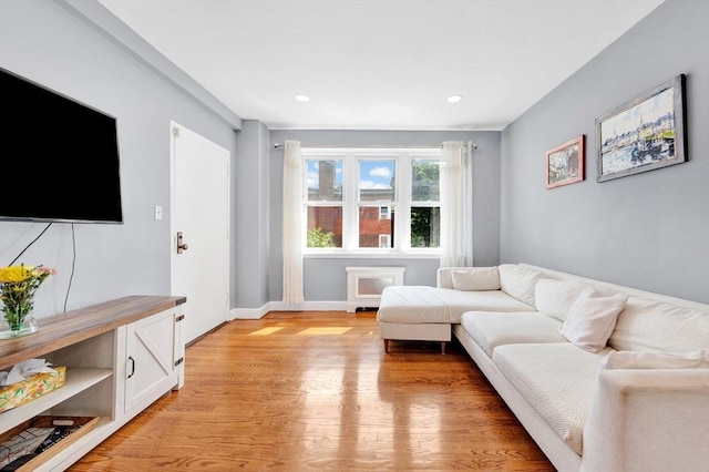 9 Twomey Ct Unit 52, Boston, MA 02127 - living room featuring light wood-style flooring and recessed lighting