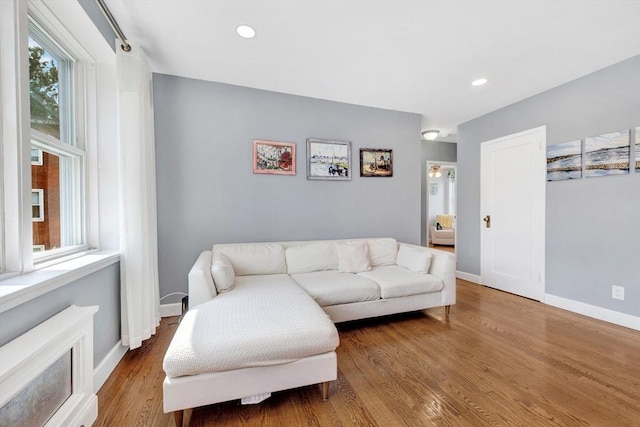 9 Twomey Ct Unit 52, Boston, MA 02127 - living room with wood finished floors and recessed lighting