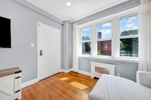 9 Twomey Ct Unit 52, Boston, MA 02127 - living area with light wood finished floors and healthy amount of natural light