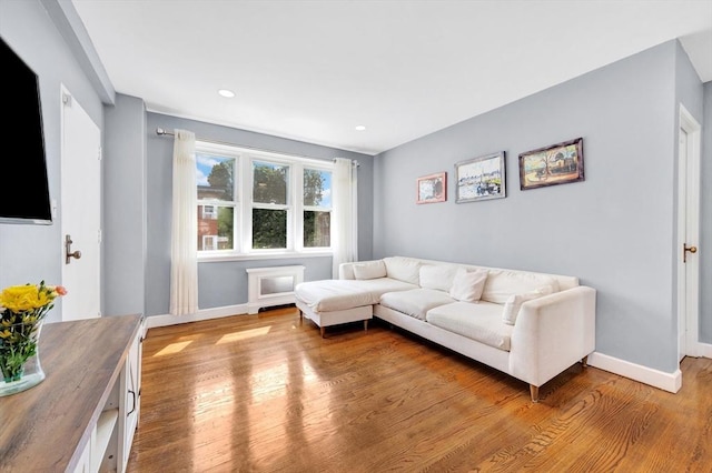 9 Twomey Ct Unit 52, Boston, MA 02127 - living room featuring wood finished floors and recessed lighting