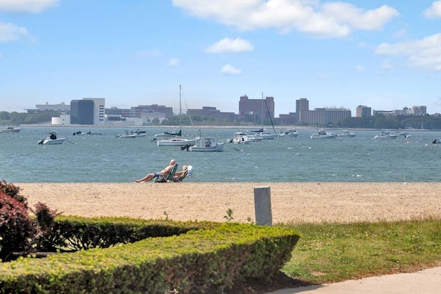 9 Twomey Ct Unit 52, Boston, MA 02127 - water view featuring city skyline