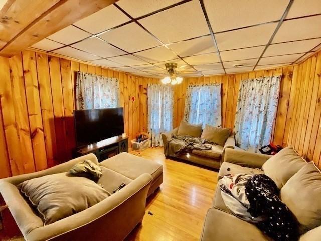 1025 Main St, Worcester, MA 01603 - living area with wooden walls, wood finished floors, and a paneled ceiling