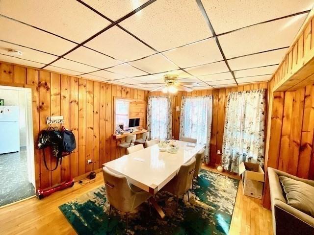 1025 Main St, Worcester, MA 01603 - dining room with healthy amount of natural light, light wood-style flooring, a drop ceiling, wooden walls, and a ceiling fan