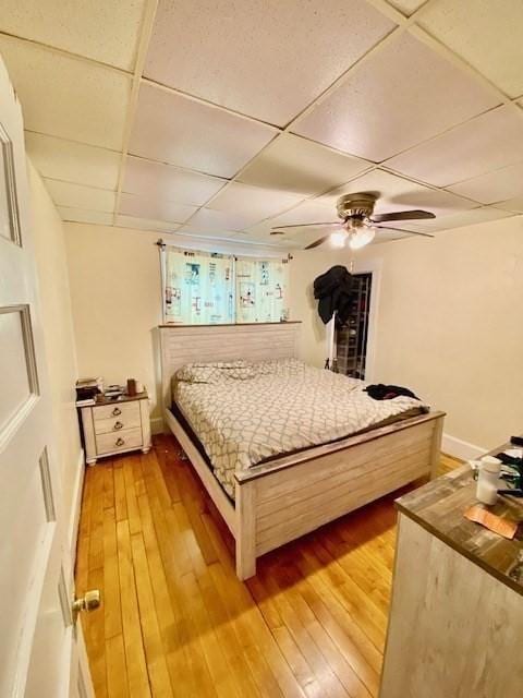 1025 Main St, Worcester, MA 01603 - bedroom with light wood finished floors, a paneled ceiling, and ceiling fan