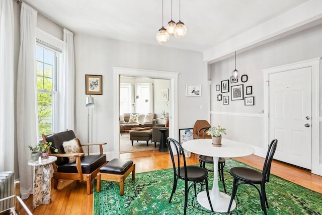 dining space with radiator and wood finished floors