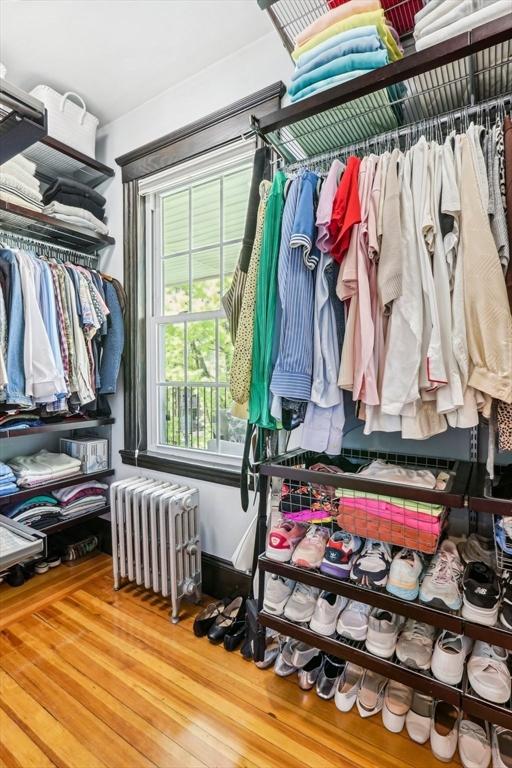 walk in closet featuring wood finished floors and radiator heating unit