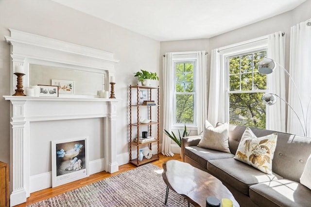 living area featuring wood finished floors and baseboards
