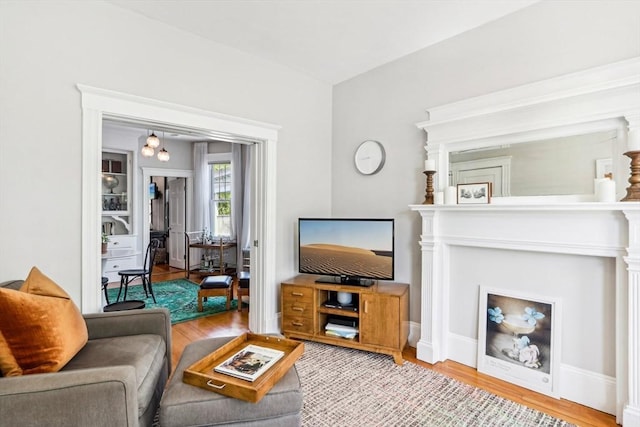 living room featuring wood finished floors
