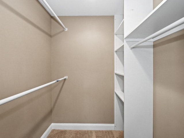 4 University Park, Waltham, MA 02453 - walk in closet with carpet floors