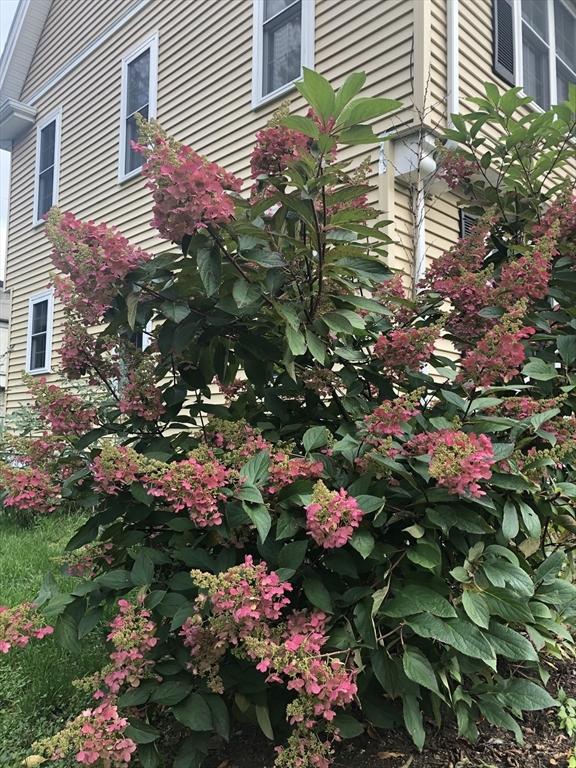 4 University Park, Waltham, MA 02453 - exterior view