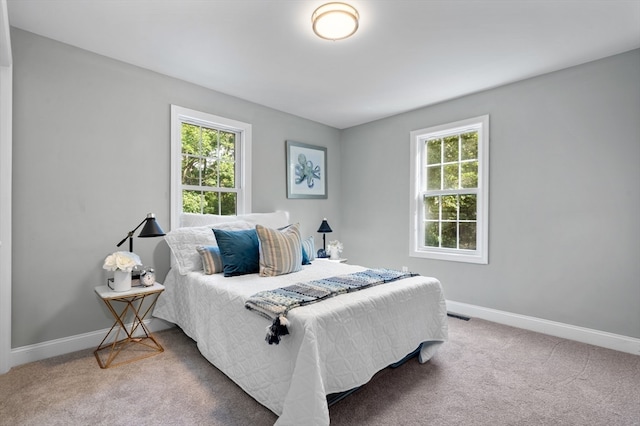 bedroom featuring carpet floors