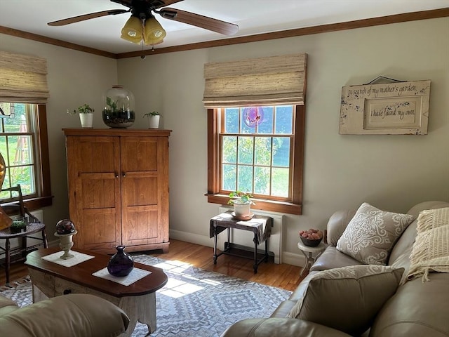 29 Deernolm St, Grafton, MA 01536 - living room featuring a ceiling fan, healthy amount of natural light, baseboards, wood finished floors, and crown molding