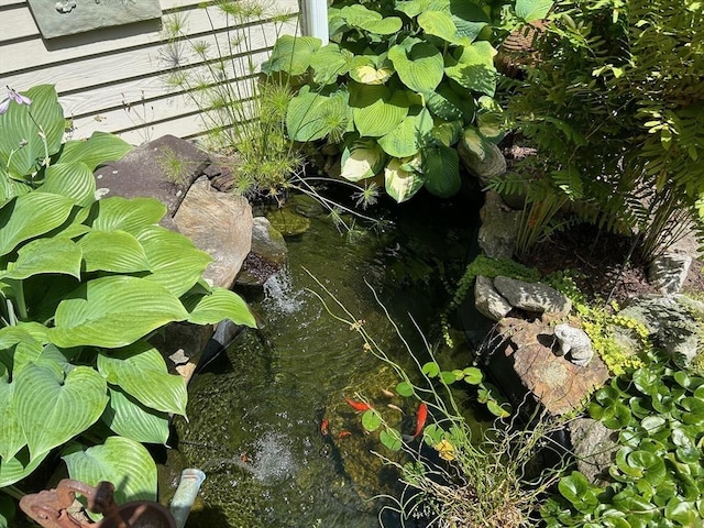 29 Deernolm St, Grafton, MA 01536 - exterior view of a small pond