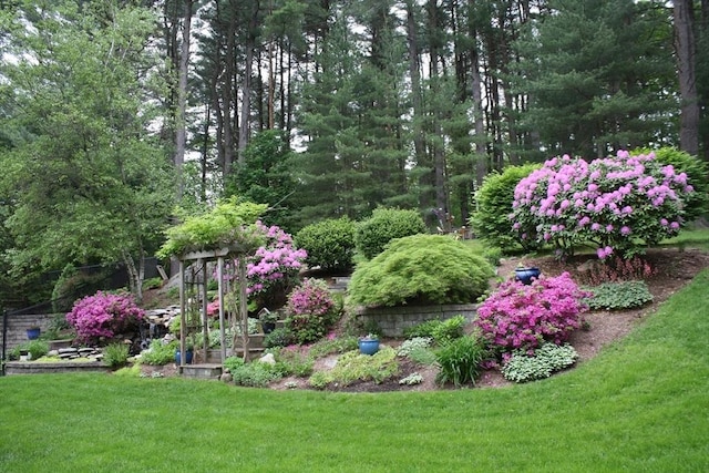29 Deernolm St, Grafton, MA 01536 - view of yard