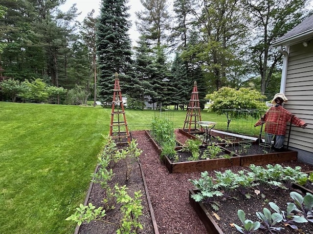 29 Deernolm St, Grafton, MA 01536 - view of green lawn with a garden